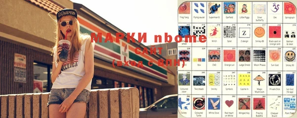 прущие грибы Санкт-Петербург