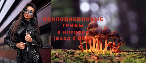 apvp Каменск-Шахтинский