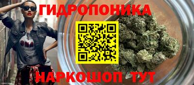 ALPHA PVP Моздок