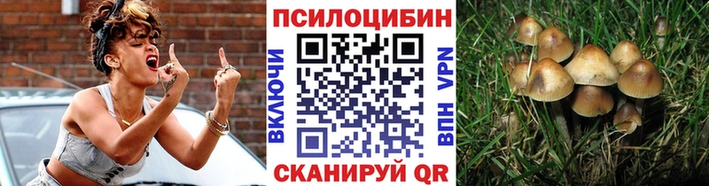 Псилоцибиновые грибы ЛСД  Медногорск 
