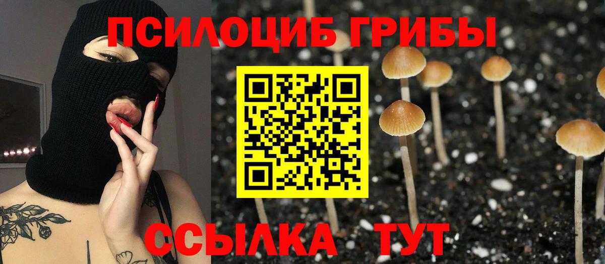 Галлюциногенные грибы Psilocybe  Вход с VPN  сколько стоит  Медногорск 